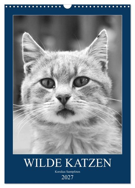 Wilde Katzen - Korsikas Samtpfoten (Wandkalender 2027 DIN A3 hoch) CALVENDO Monatskalender