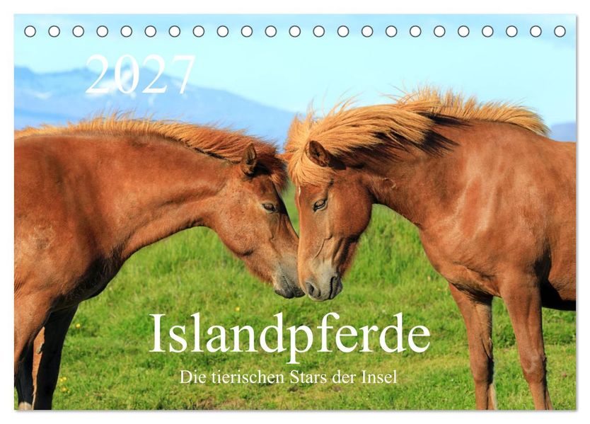 Islandpferde - Die tierischen Stars der Insel (Tischkalender 2027 DIN A5 quer) CALVENDO Monatskalender