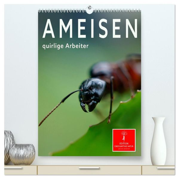 Ameisen quirlige Arbeiter (hochwertiger Premium Wandkalender 2027 DIN A2 hoch) Kunstdruck in Hochglanz