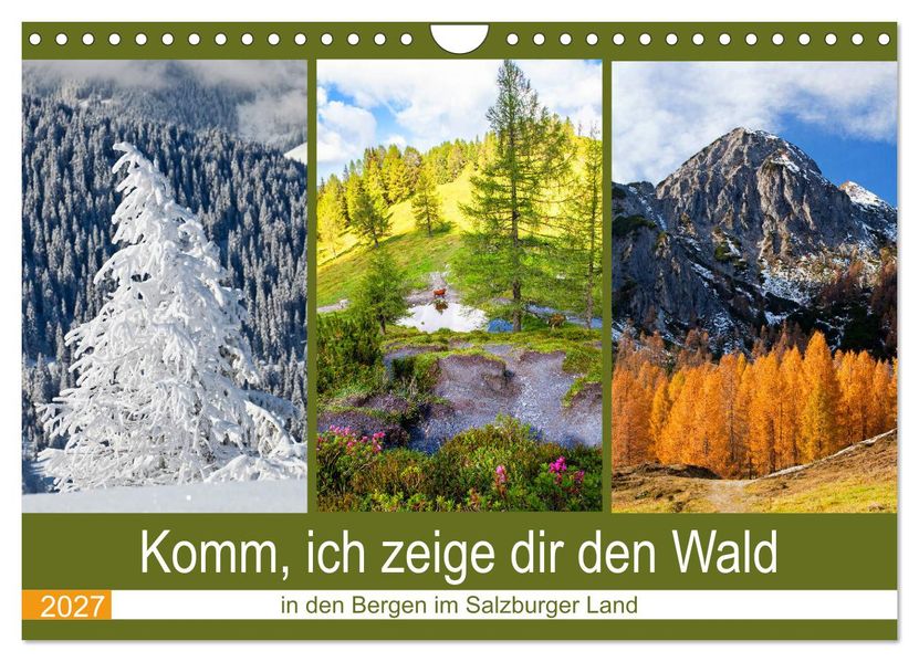 Komm ich zeige dir den Wald (Wandkalender 2027 DIN A4 quer) CALVENDO Monatskalender