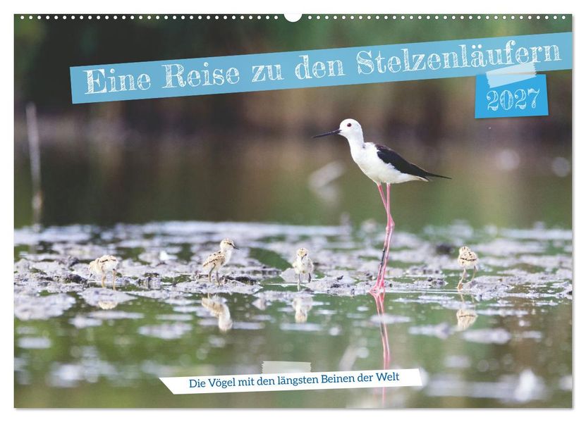 Eine Reise zu den Stelzenläufern (Wandkalender 2027 DIN A2 quer) CALVENDO Monatskalender