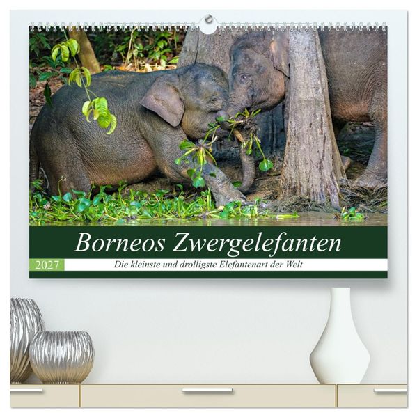 Borneos Zwergelefanten (hochwertiger Premium Wandkalender 2027 DIN A2 quer) Kunstdruck in Hochglanz