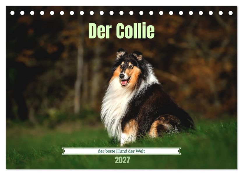 Der Collie der beste Hund der Welt (Tischkalender 2027 DIN A5 quer) CALVENDO Monatskalender