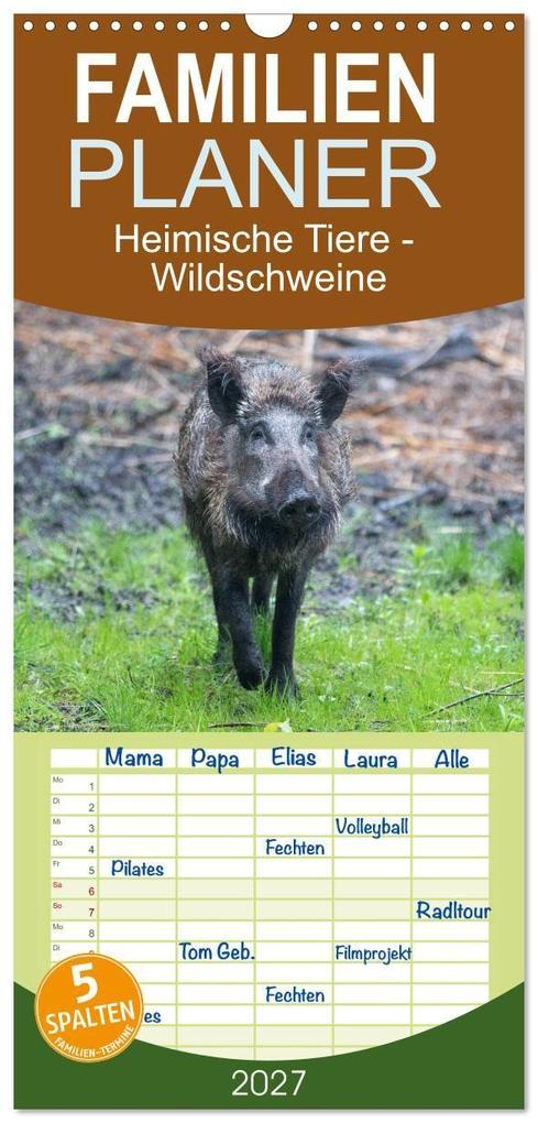 Familienplaner 2027 - Heimische Tiere - Wildschweine mit 5 Spalten (Wandkalender 21 x 45 cm) CALVENDO