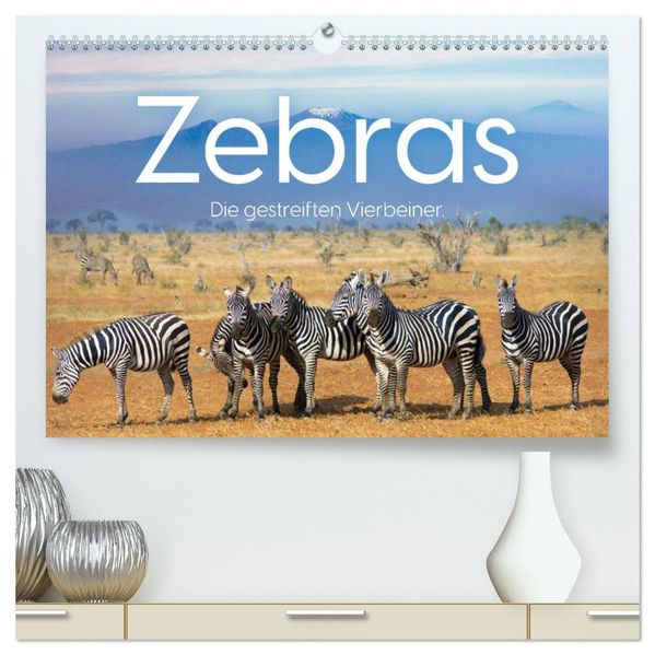 Zebras - Die gestreiften Vierbeiner. (hochwertiger Premium Wandkalender 2027 DIN A2 quer) Kunstdruck in Hochglanz