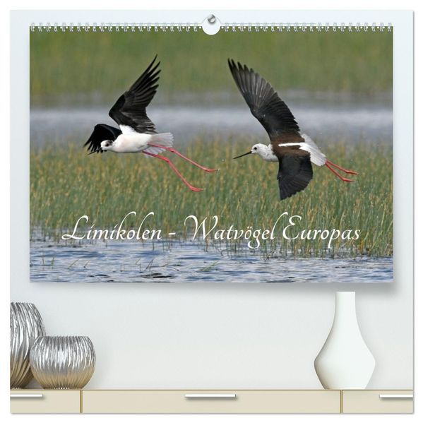 Limikolen - Watvögel Europas (hochwertiger Premium Wandkalender 2027 DIN A2 quer) Kunstdruck in Hochglanz