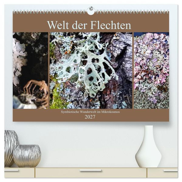 Welt der Flechten (hochwertiger Premium Wandkalender 2027 DIN A2 quer) Kunstdruck in Hochglanz