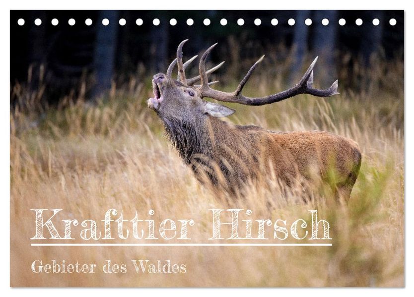 Krafttier Hirsch (Tischkalender 2027 DIN A5 quer) CALVENDO Monatskalender