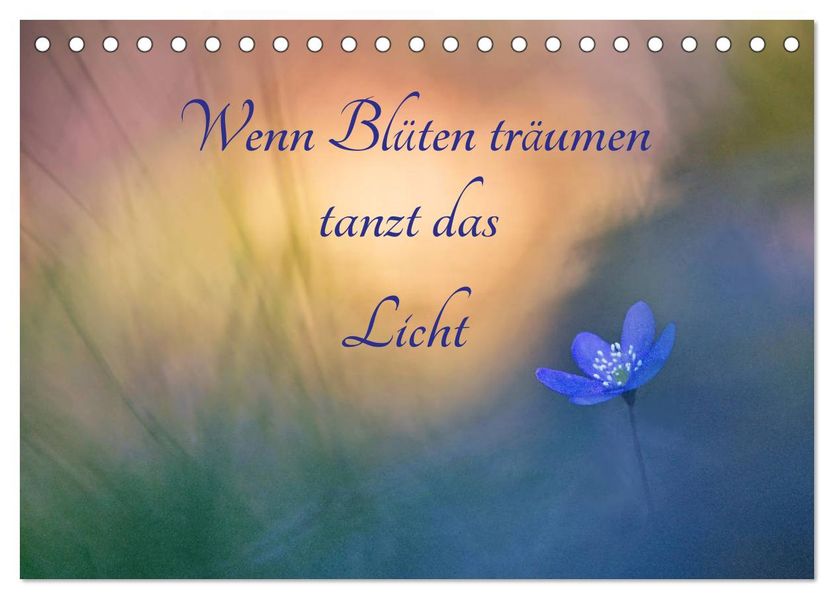 Wenn Blüten träumen tanzt das Licht (Tischkalender 2027 DIN A5 quer) CALVENDO Monatskalender