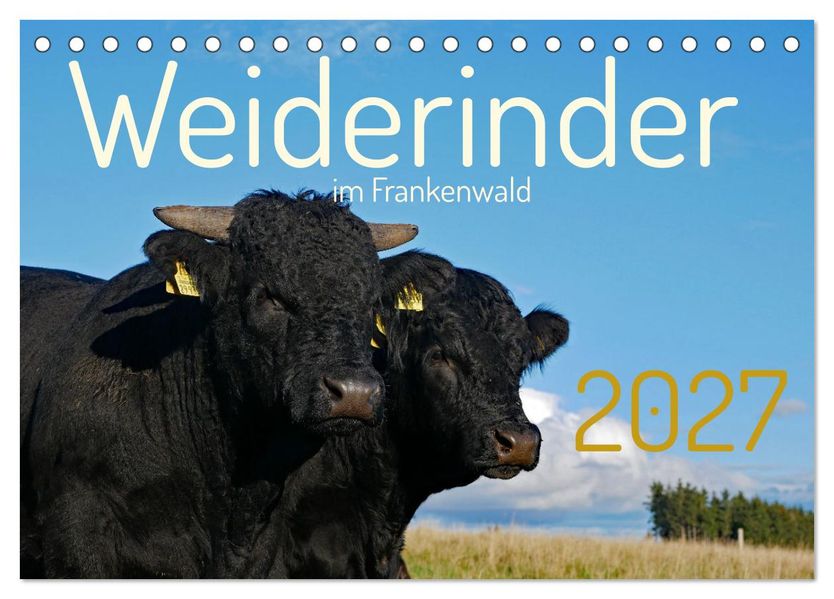 Weiderinder im Frankenwald (Tischkalender 2027 DIN A5 quer) CALVENDO Monatskalender