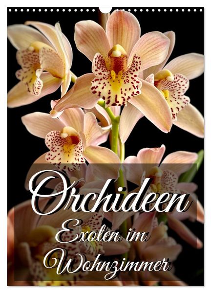 Orchideen - Exoten im Wohnzimmer (Wandkalender 2027 DIN A3 hoch) CALVENDO Monatskalender