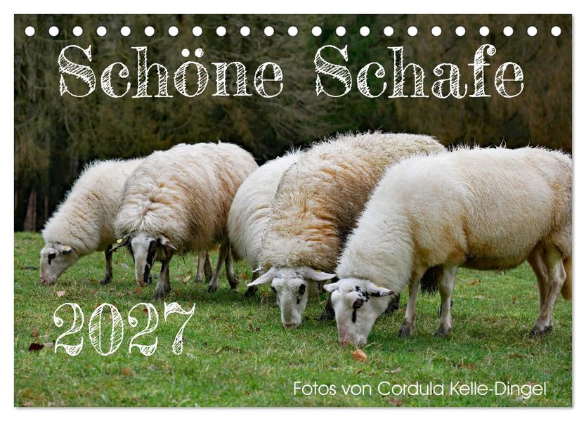 Schöne Schafe (Tischkalender 2027 DIN A5 quer) CALVENDO Monatskalender