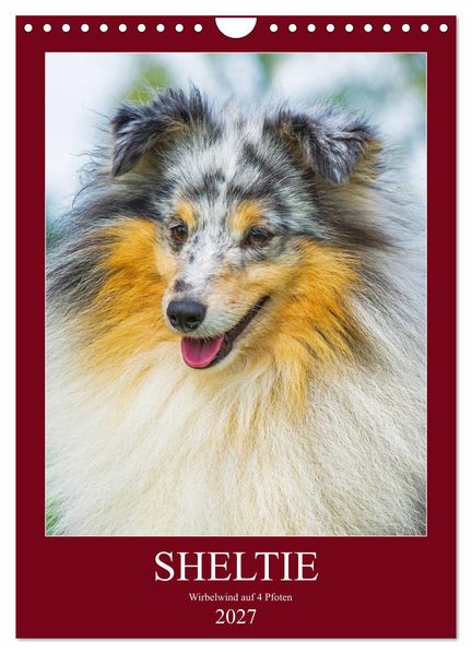 Sheltie - Wirbelwind auf 4 Pfoten (Wandkalender 2027 DIN A4 hoch) CALVENDO Monatskalender