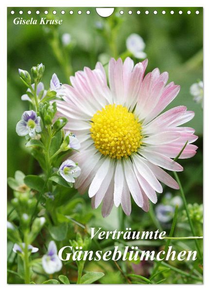 Verträumte Gänseblümchen (Wandkalender 2027 DIN A4 hoch) CALVENDO Monatskalender