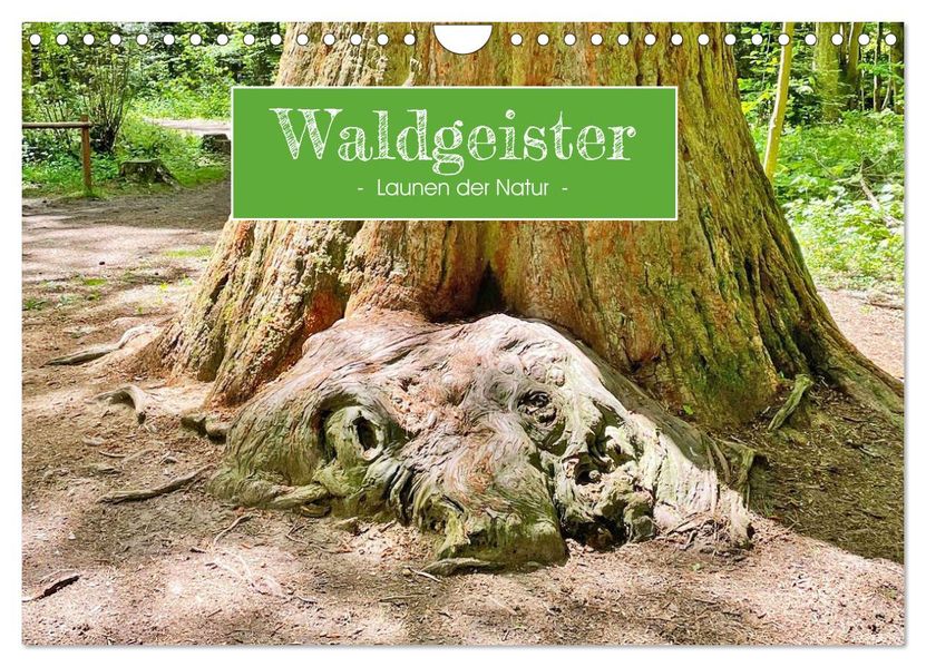 Waldgeister - Launen der Natur (Wandkalender 2027 DIN A4 quer) CALVENDO Monatskalender