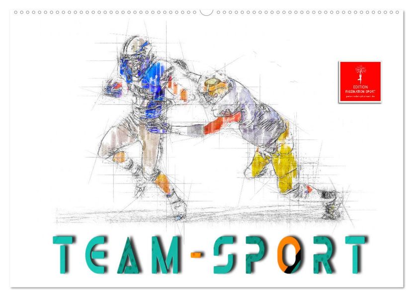 Team-Sport (Wandkalender 2027 DIN A2 quer) CALVENDO Monatskalender