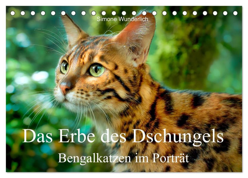 Das Erbe des Dschungels - Bengalkatzen im Porträt (Tischkalender 2027 DIN A5 quer) CALVENDO Monatskalender