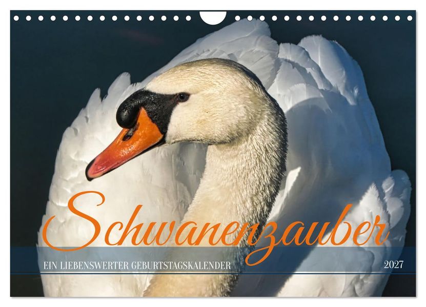 Schwanenzauber (Wandkalender 2027 DIN A4 quer) CALVENDO Monatskalender