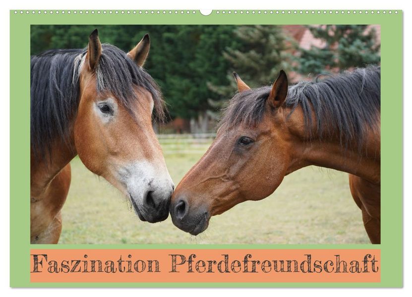 Faszination Pferdefreundschaft (Wandkalender 2027 DIN A2 quer) CALVENDO Monatskalender