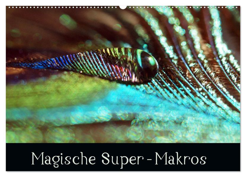 Magische Super-Makros (Wandkalender 2027 DIN A2 quer) CALVENDO Monatskalender