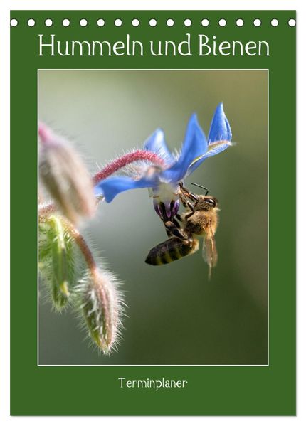 Hummeln und Bienen Terminplaner (Tischkalender 2027 DIN A5 hoch) CALVENDO Monatskalender