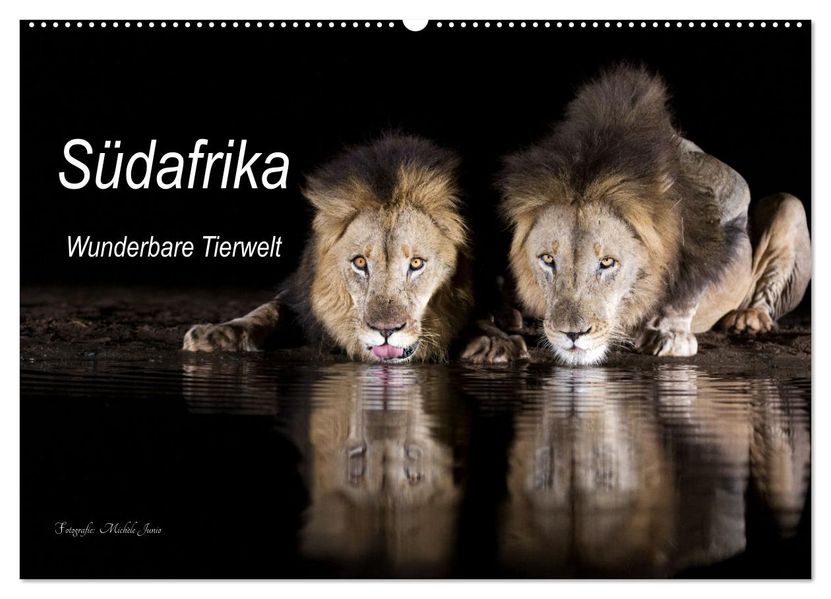 Südafrika wunderbare Tierwelt (Wandkalender 2027 DIN A2 quer) CALVENDO Monatskalender