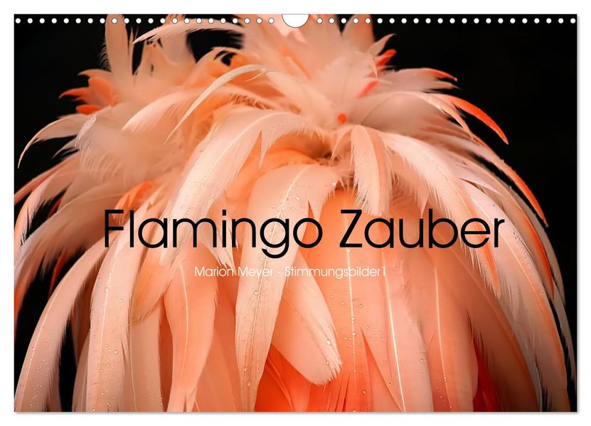 Flamingo Zauber (Wandkalender 2027 DIN A3 quer) CALVENDO Monatskalender