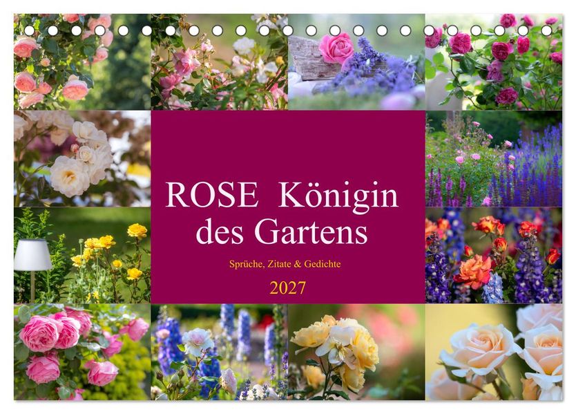 Rose Königin des Gartens (Tischkalender 2027 DIN A5 quer) CALVENDO Monatskalender