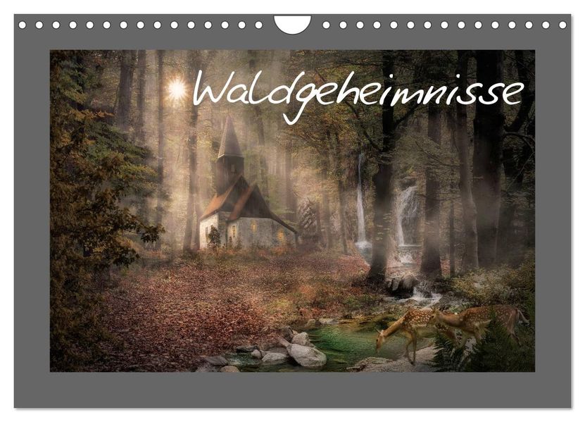 Waldgeheimnisse (Wandkalender 2027 DIN A4 quer) CALVENDO Monatskalender