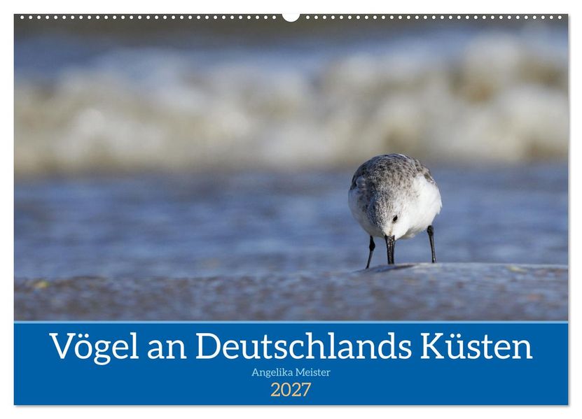 Vögel an Deutschlands Küsten (Wandkalender 2027 DIN A2 quer) CALVENDO Monatskalender