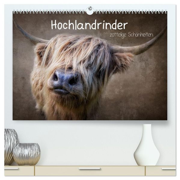 Hochlandrinder - Zottelige Schönheiten (hochwertiger Premium Wandkalender 2027 DIN A2 quer) Kunstdruck in Hochglanz