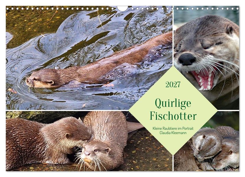 Quirlige Fischotter (Wandkalender 2027 DIN A3 quer) CALVENDO Monatskalender