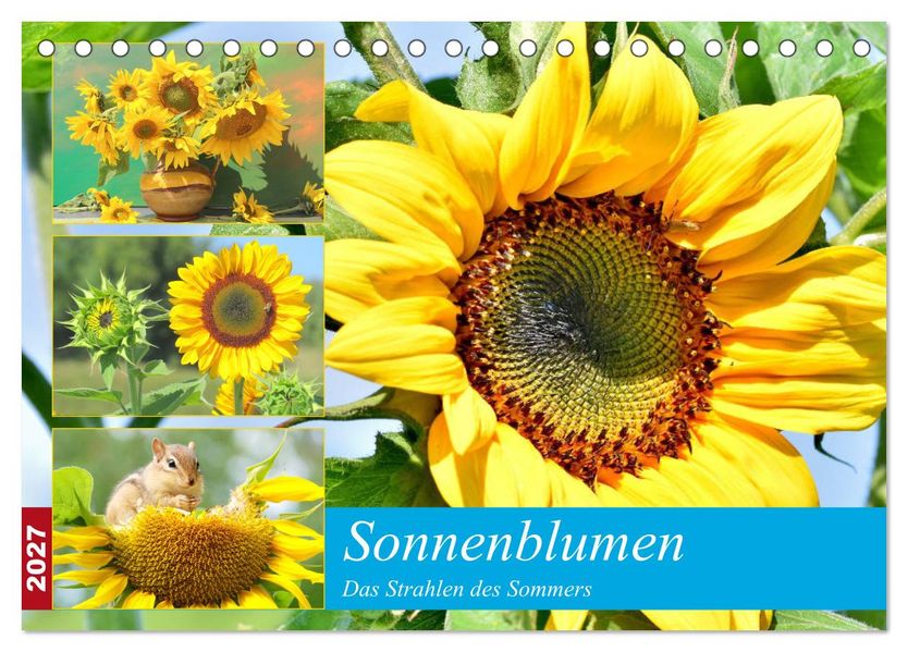 Sonnenblumen. Das Strahlen des Sommers (Tischkalender 2027 DIN A5 quer) CALVENDO Monatskalender