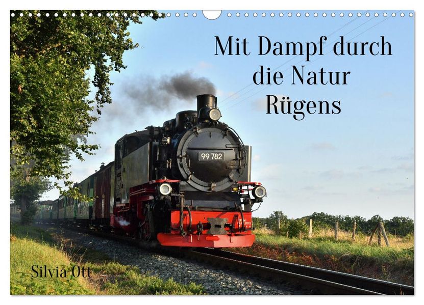 Mit Dampf durch die Natur Rügens (Wandkalender 2027 DIN A3 quer) CALVENDO Monatskalender