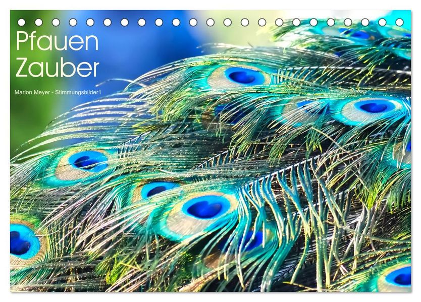 Pfauen Zauber (Tischkalender 2027 DIN A5 quer) CALVENDO Monatskalender