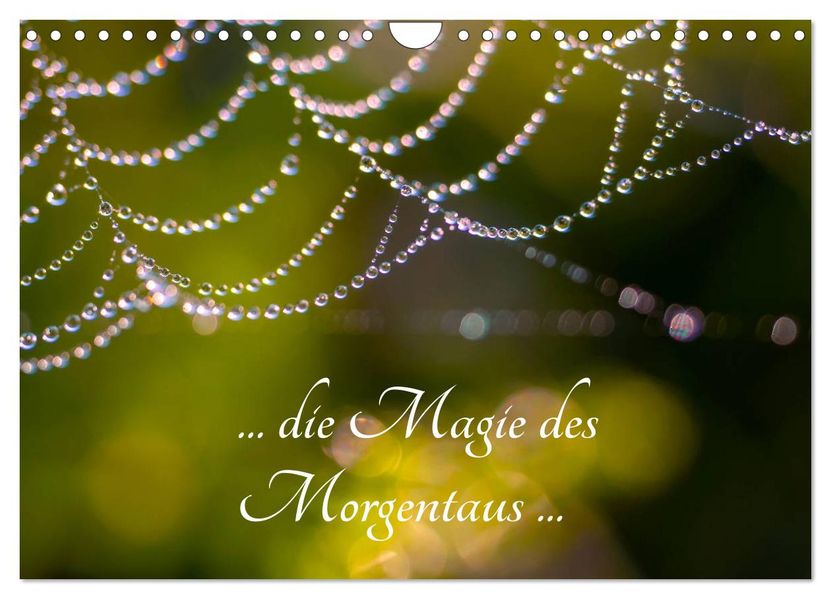 ... die Magie des Morgentaus... (Wandkalender 2027 DIN A4 quer) CALVENDO Monatskalender