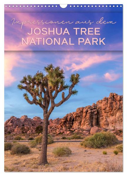 Impressionen aus dem JOSHUA TREE NATIONAL PARK (Wandkalender 2027 DIN A3 hoch) CALVENDO Monatskalender