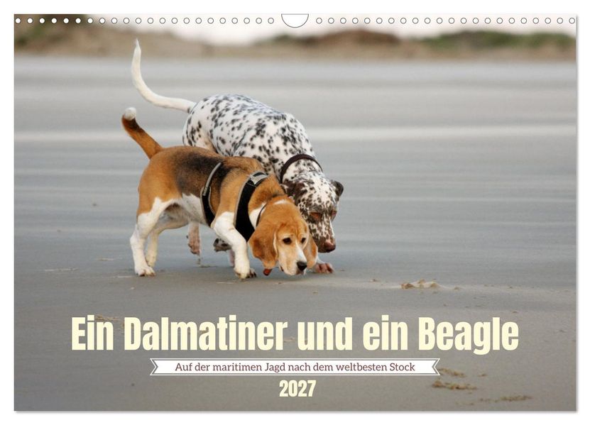 Ein Dalmatiner und ein Beagle - Auf der maritimen Jagd nach dem weltbesten Stock (Wandkalender 2027 DIN A3 quer) CALVENDO Monatskalender