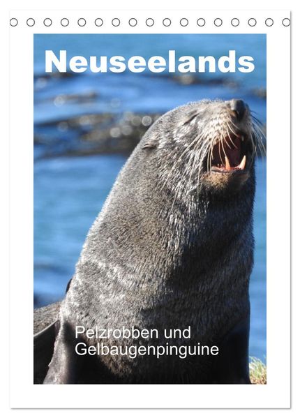 Neuseelands Pelzrobben und Gelbaugenpinguine (Tischkalender 2027 DIN A5 hoch) CALVENDO Monatskalender