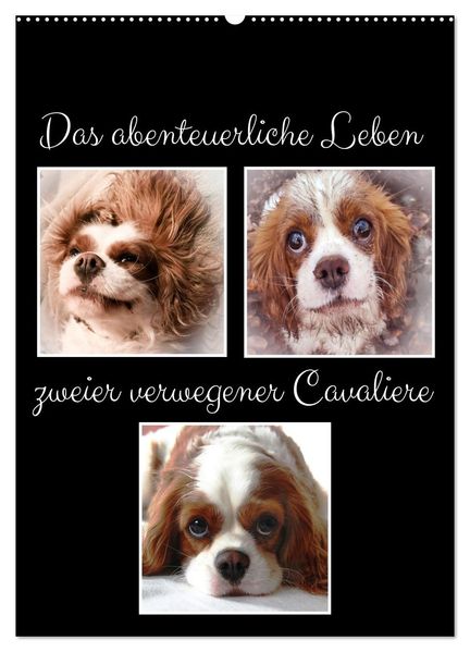 Das abenteuerliche Leben zweier verwegener Cavaliere (Wandkalender 2027 DIN A2 hoch) CALVENDO Monatskalender