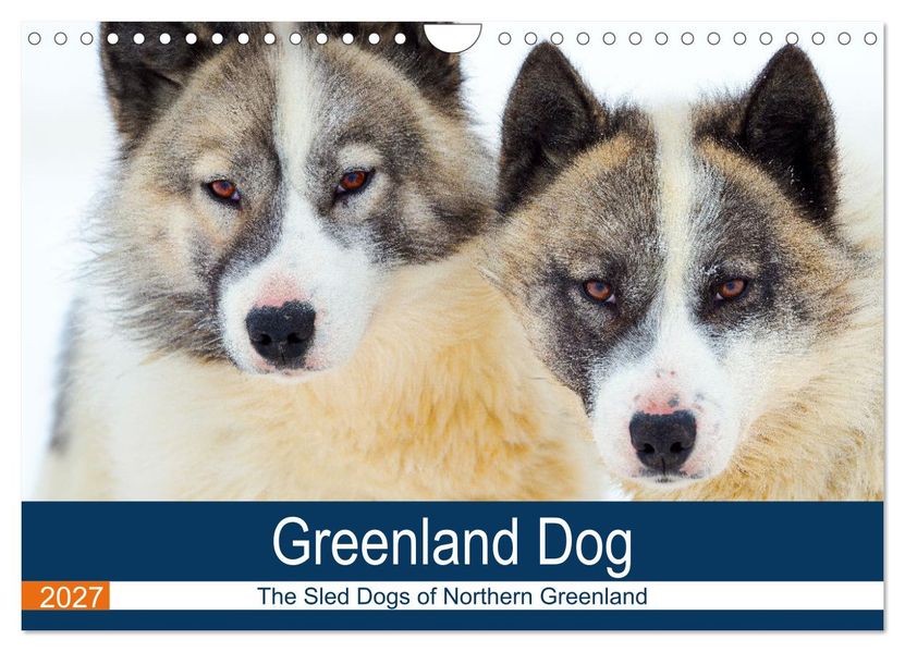 Greenland Dog - The Sled Dogs of Northern Greenland (Wall Calendar 2027 DIN A4 landscape) CALVENDO 12 Month Wall Calendar