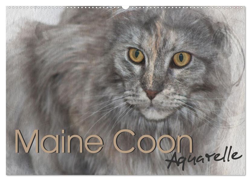 Maine Coon Aquarelle (Wandkalender 2027 DIN A2 quer) CALVENDO Monatskalender