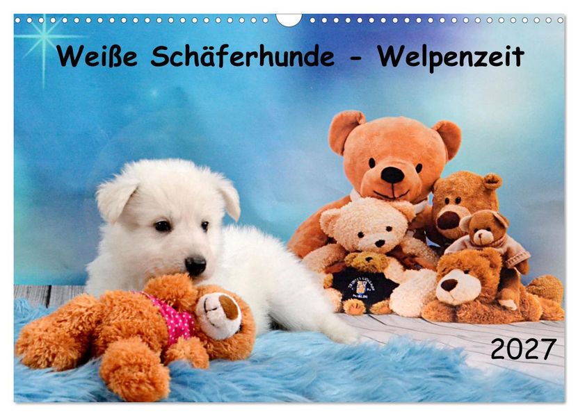 Weiße Schäferhunde - Welpenzeit (Wandkalender 2027 DIN A3 quer) CALVENDO Monatskalender