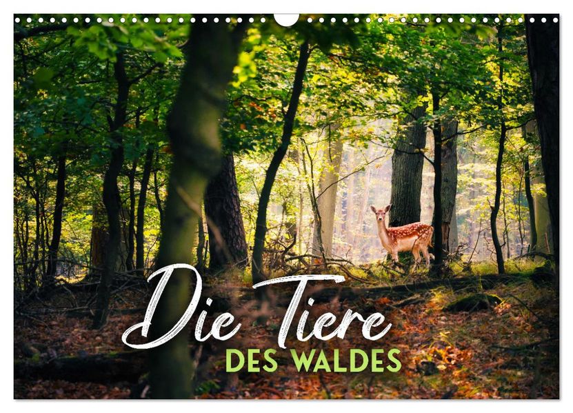 Die Tiere des Waldes (Wandkalender 2027 DIN A3 quer) CALVENDO Monatskalender