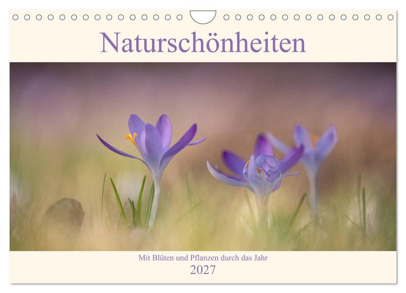 Naturschönheiten - mit Blüten und Pflanzen durch das Jahr (Wandkalender 2027 DIN A4 quer) CALVENDO Monatskalender