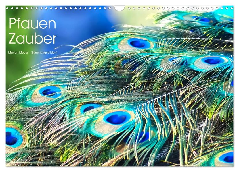 Pfauen Zauber (Wandkalender 2027 DIN A3 quer) CALVENDO Monatskalender
