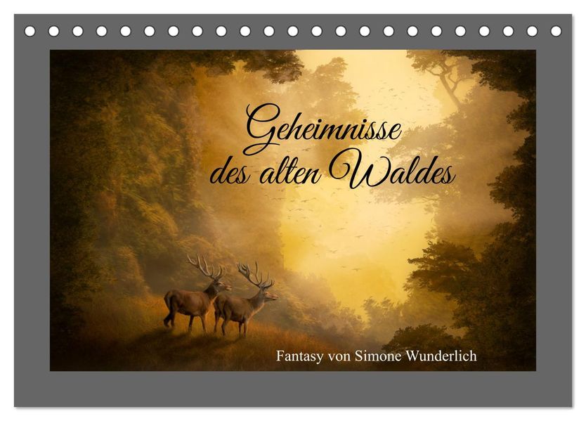Geheimnisse des alten Waldes (Tischkalender 2027 DIN A5 quer) CALVENDO Monatskalender