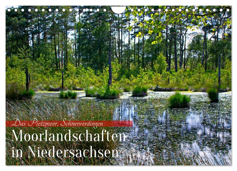 Niedersachsens Moorlandschaften - Das Pietzmoor Schneverdingen (Wandkalender 2027 DIN A4 quer) CALVENDO Monatskalender