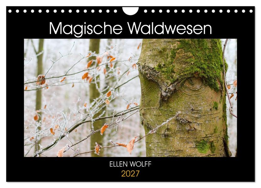 Magische Waldwesen (Wandkalender 2027 DIN A4 quer) CALVENDO Monatskalender
