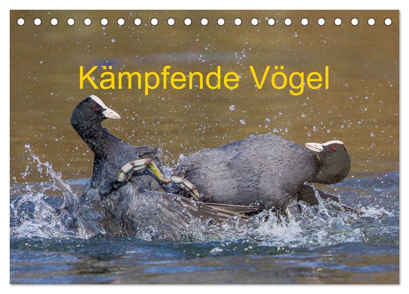 Kämpfende Vögel (Tischkalender 2027 DIN A5 quer) CALVENDO Monatskalender